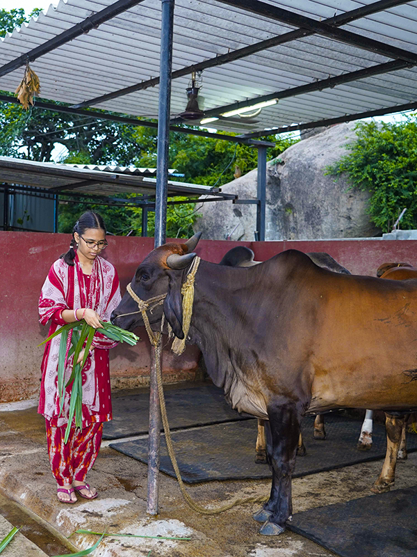 Goshala Seva